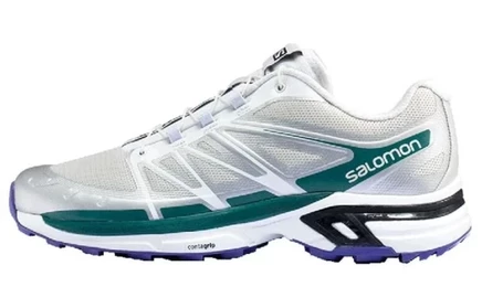 Мужские трейловые кроссовки Salomon XT Wings 2
