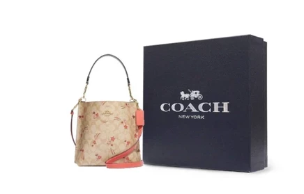 Женская сумка Coach Mollie кожаная, цвета хаки