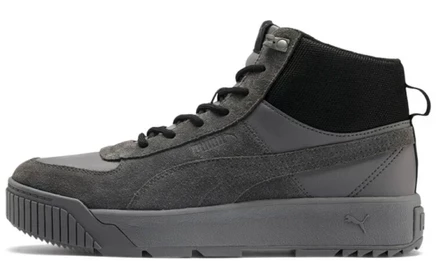Мужские кроссовки Puma Tarrenz SB, серые