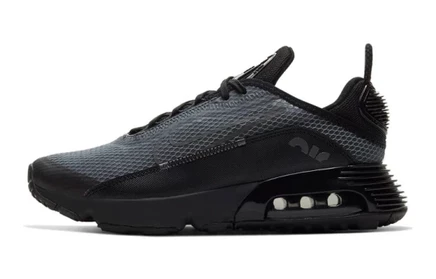 Кроссовки для девочек Nike Air Max 2090, черно-серые