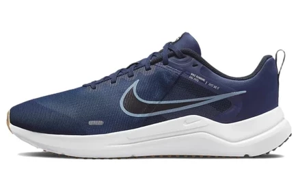 Мужские кроссовки Nike Downshifter 12