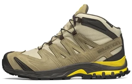 Мужские ботинки Salomon Xa Pro 3D Mid GTX, коричневые