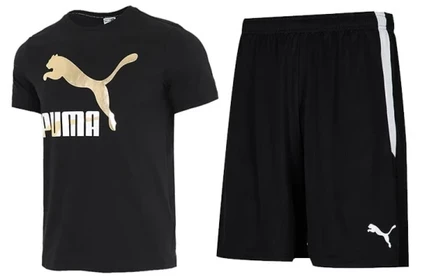 Мужской спортивный костюм Puma Casual Sportswear