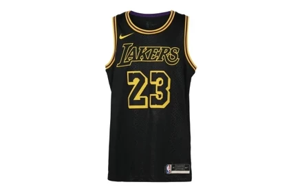 Мужская майка Nike Lakers LeBron James, желто-черная