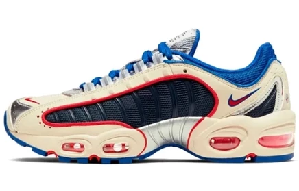 Женские беговые кроссовки Nike Air Max Tailwind 4