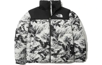Унисекс-пуховик The North Face 1996 Collection, белый