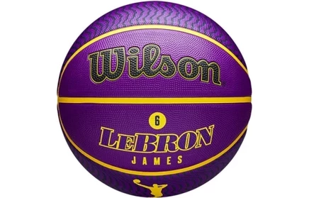 Баскетбольный мяч Wilson NBA Series, размер 7