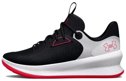 Мужские кроссовки Under Armour TWENTY47