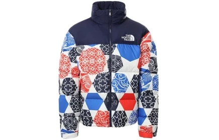 Мужской пуховик The North Face Nuptse 1996, разноцветный