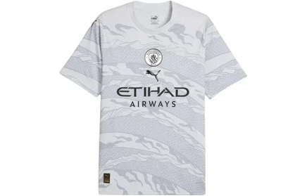 Мужская футболка Puma T7 AOP, серая