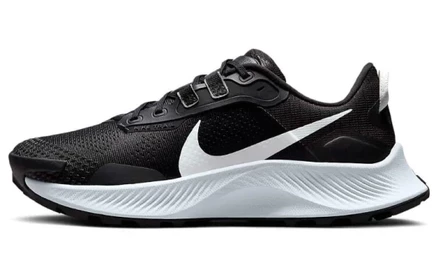 Женские кроссовки Nike Pegasus Trail 2, черно-платиновые