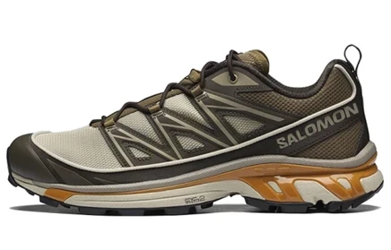 Мужские кроссовки Salomon XT-6 Expanse, серые