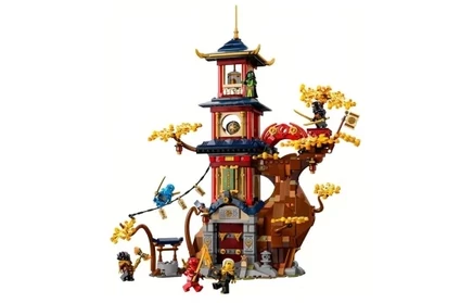 Конструктор LEGO Ninjago «Храм ядра дракона» 71795