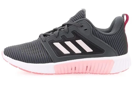 Женские беговые кроссовки Adidas Climacool Vent