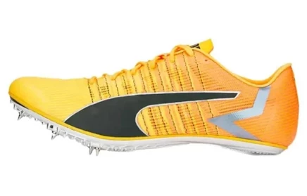 Мужские беговые кроссовки Puma EvoSpeed Tokyo Brush 4, оранжевые