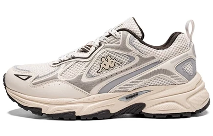 Унисекс кроссовки Kappa Wing Low, серо-серебристые