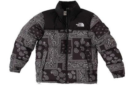 Мужской пуховик The North Face Casestudy, черный