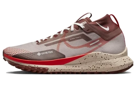Мужские кроссовки Nike Pegasus Trail 4 GTX, многоцветные