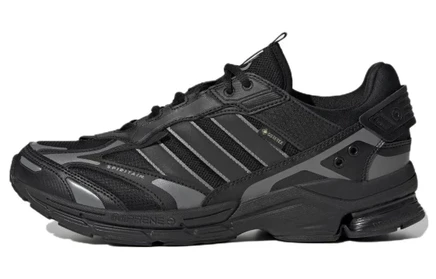 Мужские беговые кроссовки Adidas Spiritain GORE-TEX