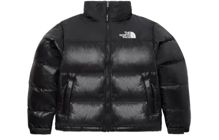 Мужской пуховик The North Face 1996 Retro Nuptse, черный