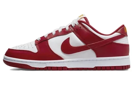 Мужские кеды Nike Dunk Low Retro
