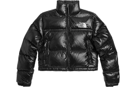 Женская куртка The North Face Nuptse 700, черная