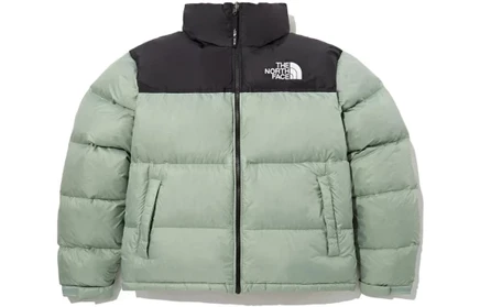 Унисекс пуховик The North Face 1996, зелено-коричневый
