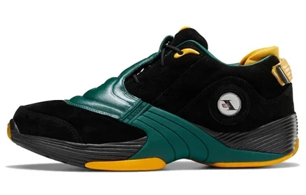 Баскетбольные кроссовки Reebok Answer 5 Bethel