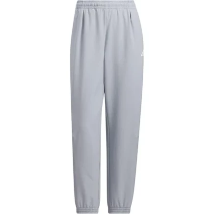 Спортивные брюки женские Adidas COLD.RDy WV PT CN светло-серебристый