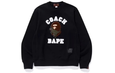Мужской свитшот A Bathing Ape Rexy Crewneck