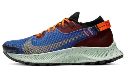 Женские кроссовки Nike Pegasus Trail 2 GORE-TEX