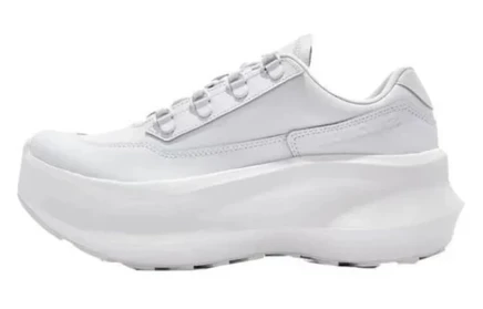 Мужские кроссовки Salomon SR811