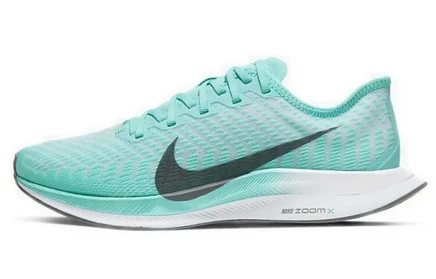 Женские кроссовки Nike Zoom Pegasus Turbo 2