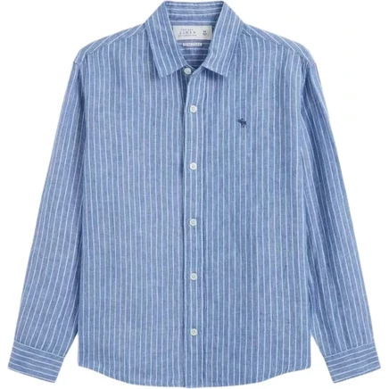 Мужская рубашка Abercrombie & Fitch, синяя