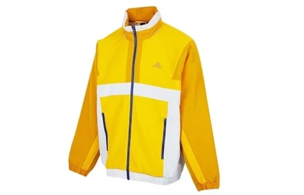 Мужская ветровка Adidas 4064057093664, желтая