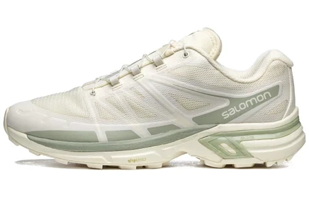 Мужские кроссовки Salomon XT Wings 2, ванильные