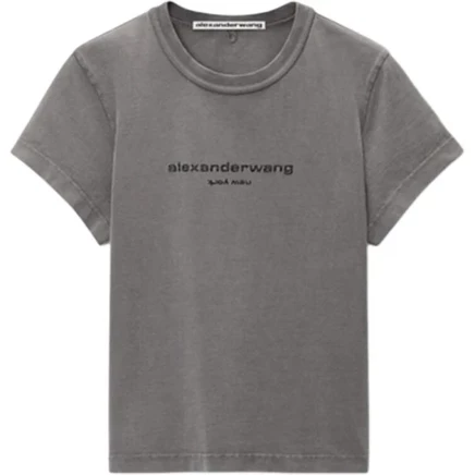 Женская футболка Alexander Wang 192722551417, серая