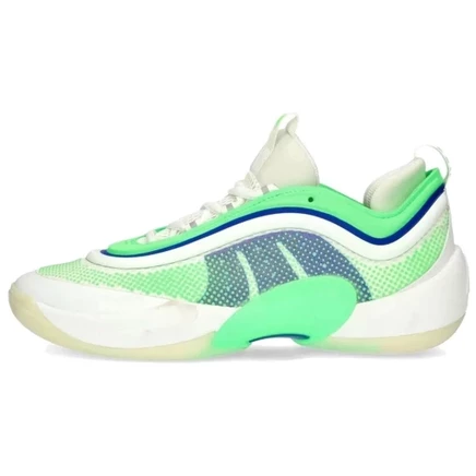 Мужские кроссовки Adidas D.O.N. 6, бело-зеленые