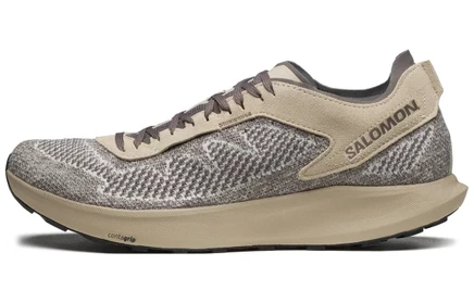 Мужские кроссовки Salomon Pulsar Prg, серо-коричневые