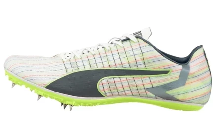 Кроссовки Puma EvoSPEED Tokyo Brush 3, зелено-серо-синие