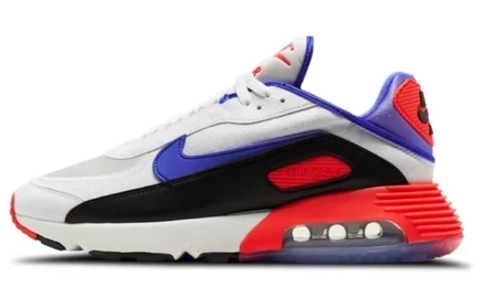 Мужские кроссовки Nike Air Max 2090 Evolution of Icons