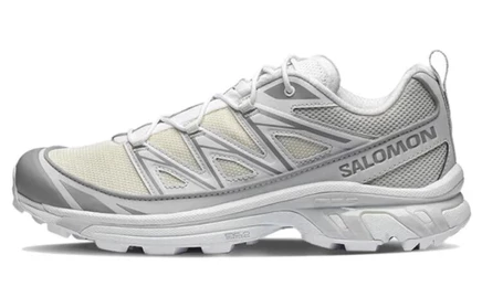 Мужские кроссовки Salomon XT 6 Expanse, ванильно-серые