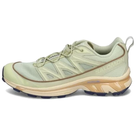 Мужские трейловые кроссовки Salomon XT-6 Expanse, бежевые