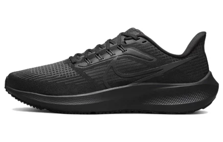 Мужские кроссовки Nike Pegasus 39, черные/антрацит