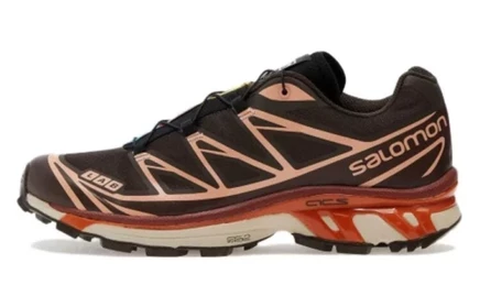 Мужские кроссовки Salomon XT 6 Delicioso