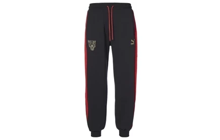 Мужские спортивные брюки Puma ESS+, черные