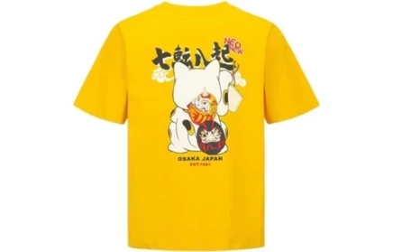 Мужская футболка Evisu, коричневая