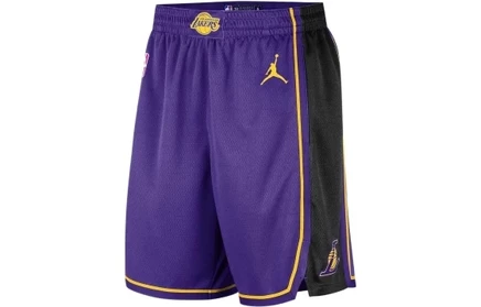 Мужские шорты Jordan Dri-FIT NBA Swingman, фиолетовые