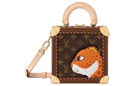 Женская сумка Louis Vuitton Sun Yitian Mini, коричневая
