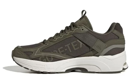 Мужские кроссовки Adidas Spiritain 2000 GTX, зеленые
